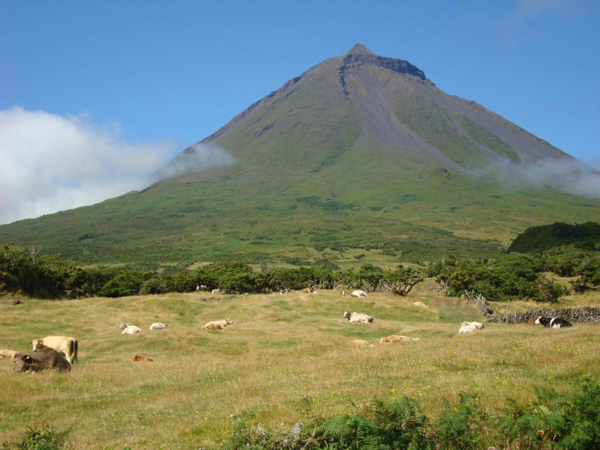 Villa Casa Da Abrotea à Lajes do Pico Extérieur photo